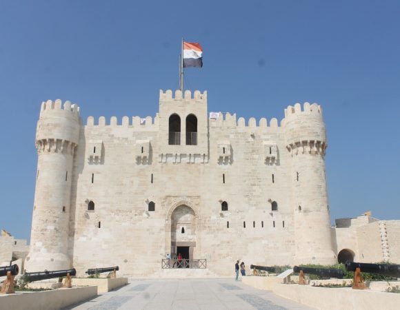 Alexandria Day Tour from Port | Top Attractions & Library