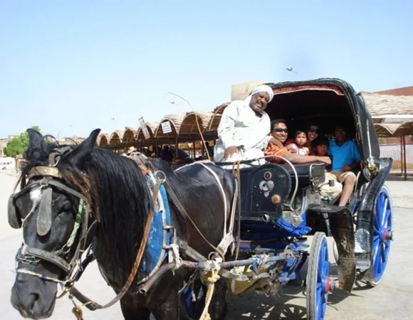 Aswan City tour on Horse Carriage