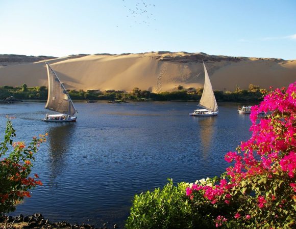 Private tour to Botanical garden with Felucca ride on Aswan Nile River