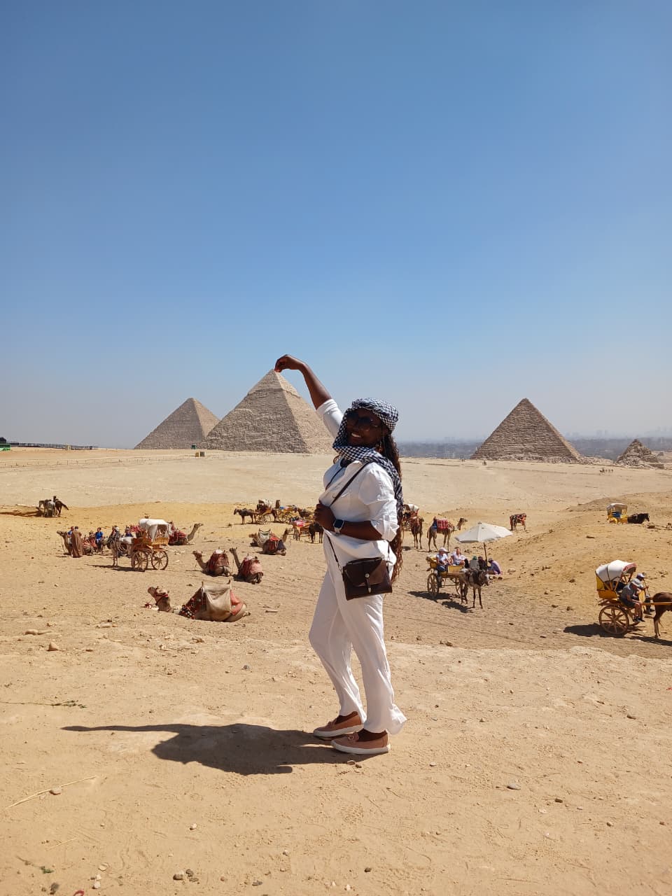 Cairo Layover Tour with Nile Dinner Cruise