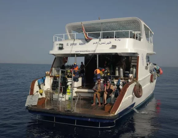 Day Tour On Yacht Included 2 Dive With Lunch At Hurghada