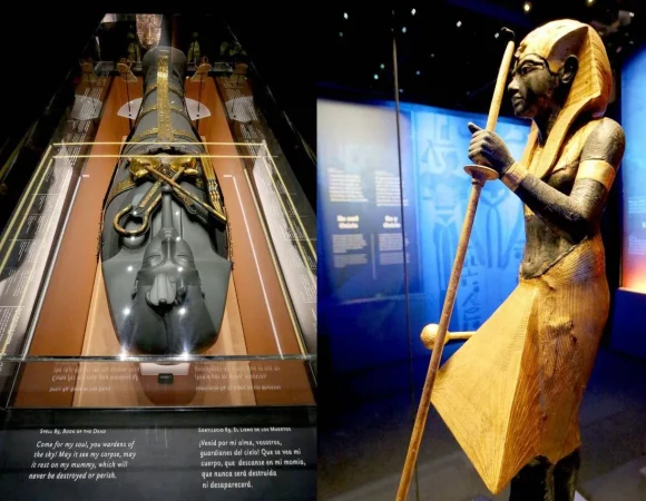 Half Day Tour Visit King Tut Museum In Sharm EL Sheikh