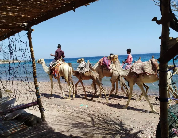 Private Day Tour To Three Pools AT Dahab Snorkeling, Camel Ride With Lunch From Dahab