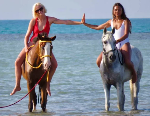 ADVENTURE SAFARI BY HORSE IN Hurghada Duiring Sunset Or Sunrise