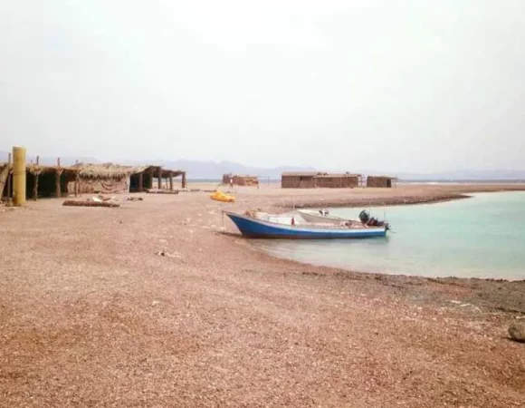 Private Day Tour To Blue Lagoon And Ras Abu Galum From Dahab