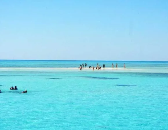 White Island & Ras Mohammed Day Trip From Sharm El Sheikh