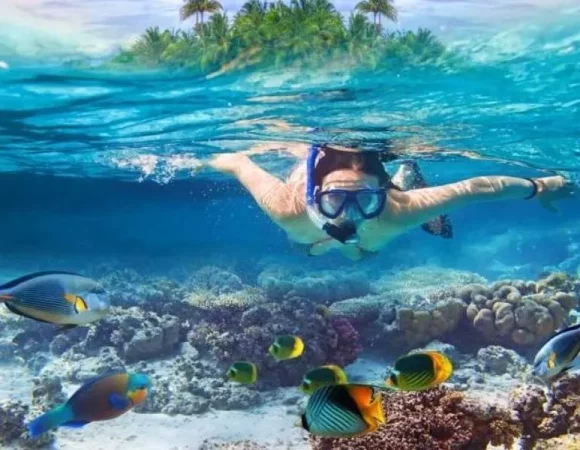 Hurghada Snorkeling Trip at Sharm El Naga Bay